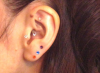sample_2326.jpg
